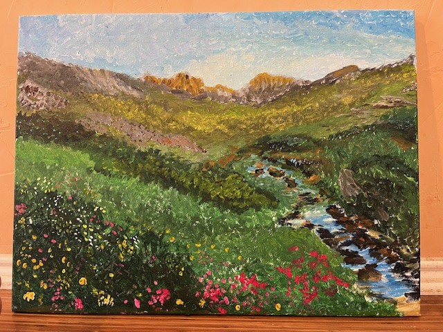A spring meadow with some mountains and a stream